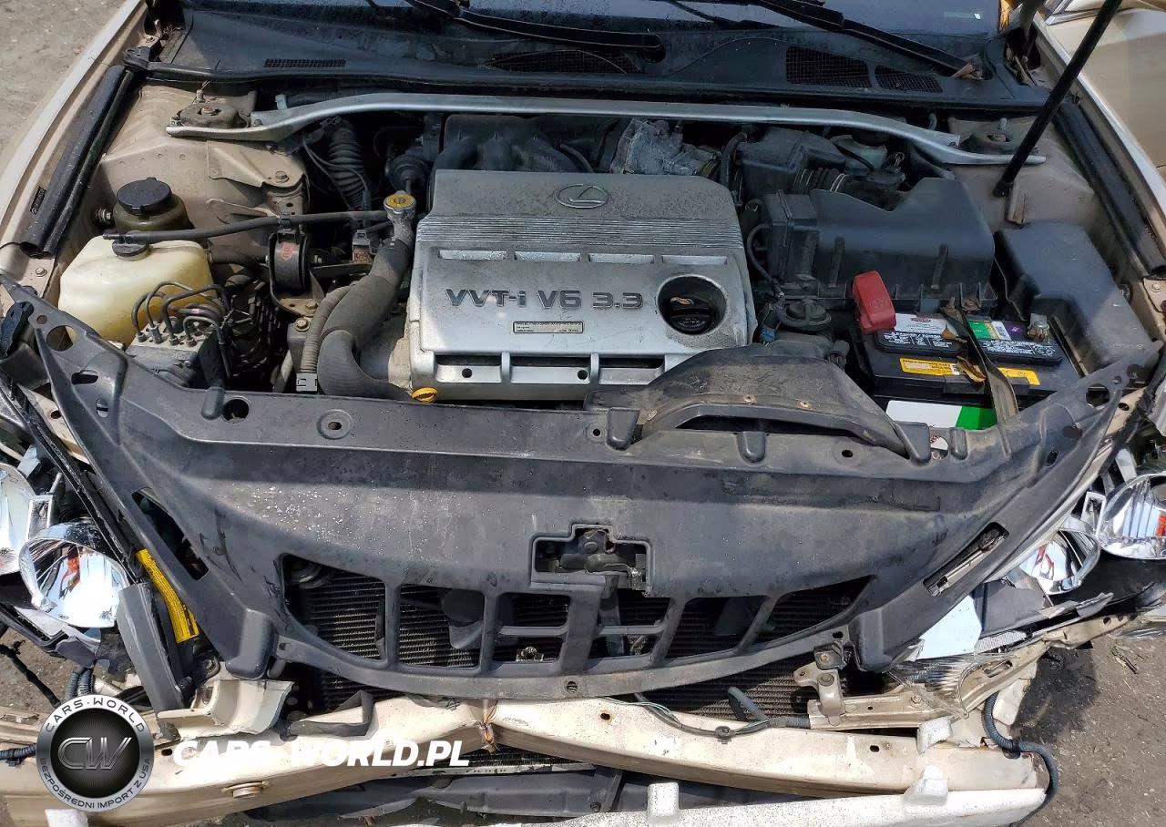2004 Lexus Es 330 VIN:JTHBA30GX45032305 - 11