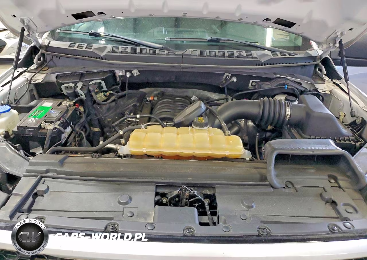 2019 Ford F150 Supercrew VIN:1FTEW1E5XKFC93985 - 11
