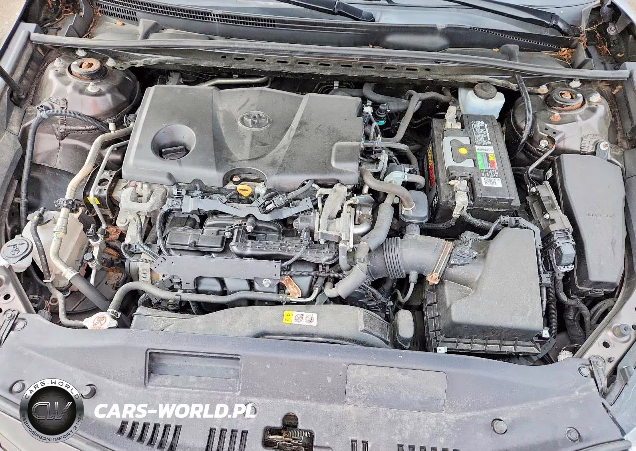 2019 Toyota Camry Le VIN:4T1B11HK3KU284541 - 11