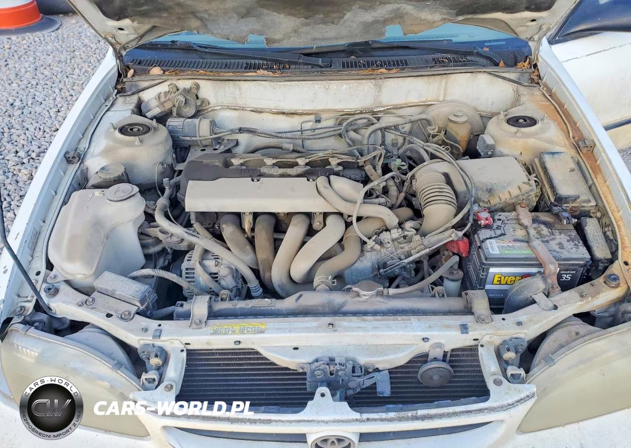 1999 Toyota Corolla Ve VIN:1NXBR12EXXZ288797 - 11