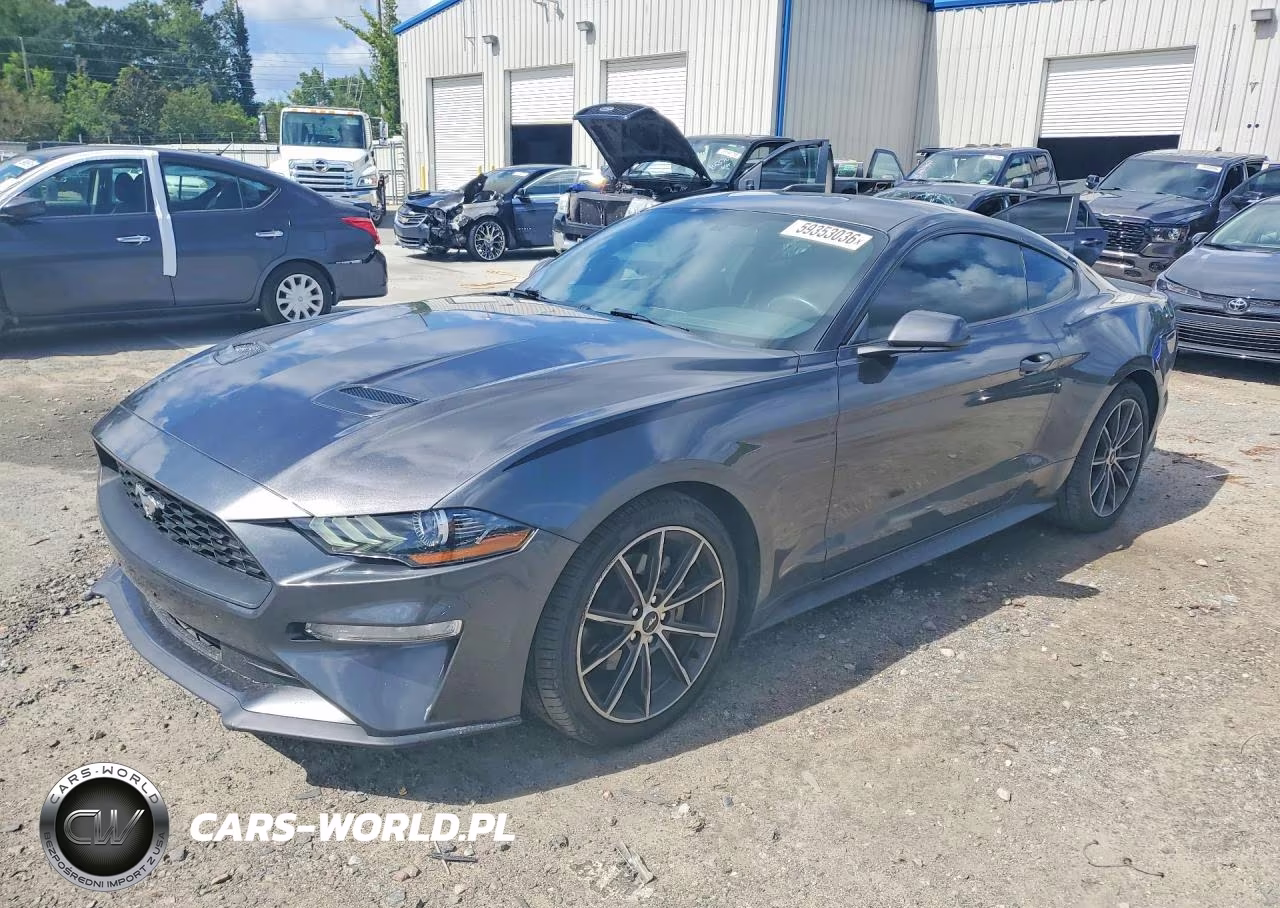 2019 Ford Mustang