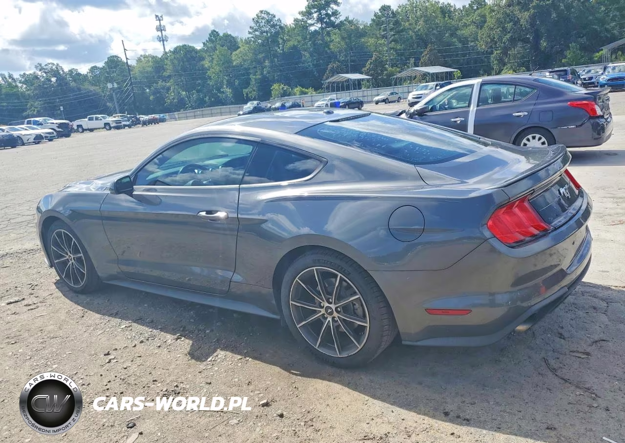 2019 Ford Mustang VIN:1FA6P8TH1K5142925 - 2