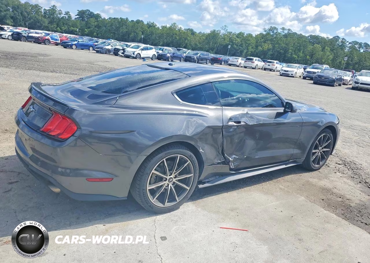 2019 Ford Mustang VIN:1FA6P8TH1K5142925 - 3