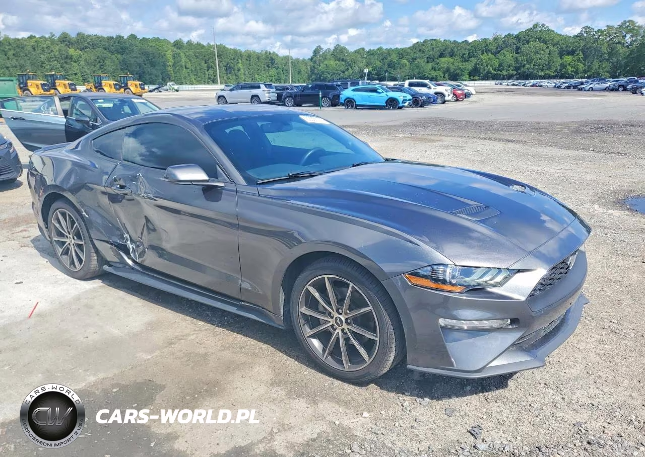 2019 Ford Mustang VIN:1FA6P8TH1K5142925 - 4
