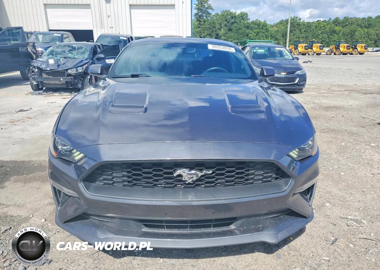 2019 Ford Mustang VIN:1FA6P8TH1K5142925 - 5