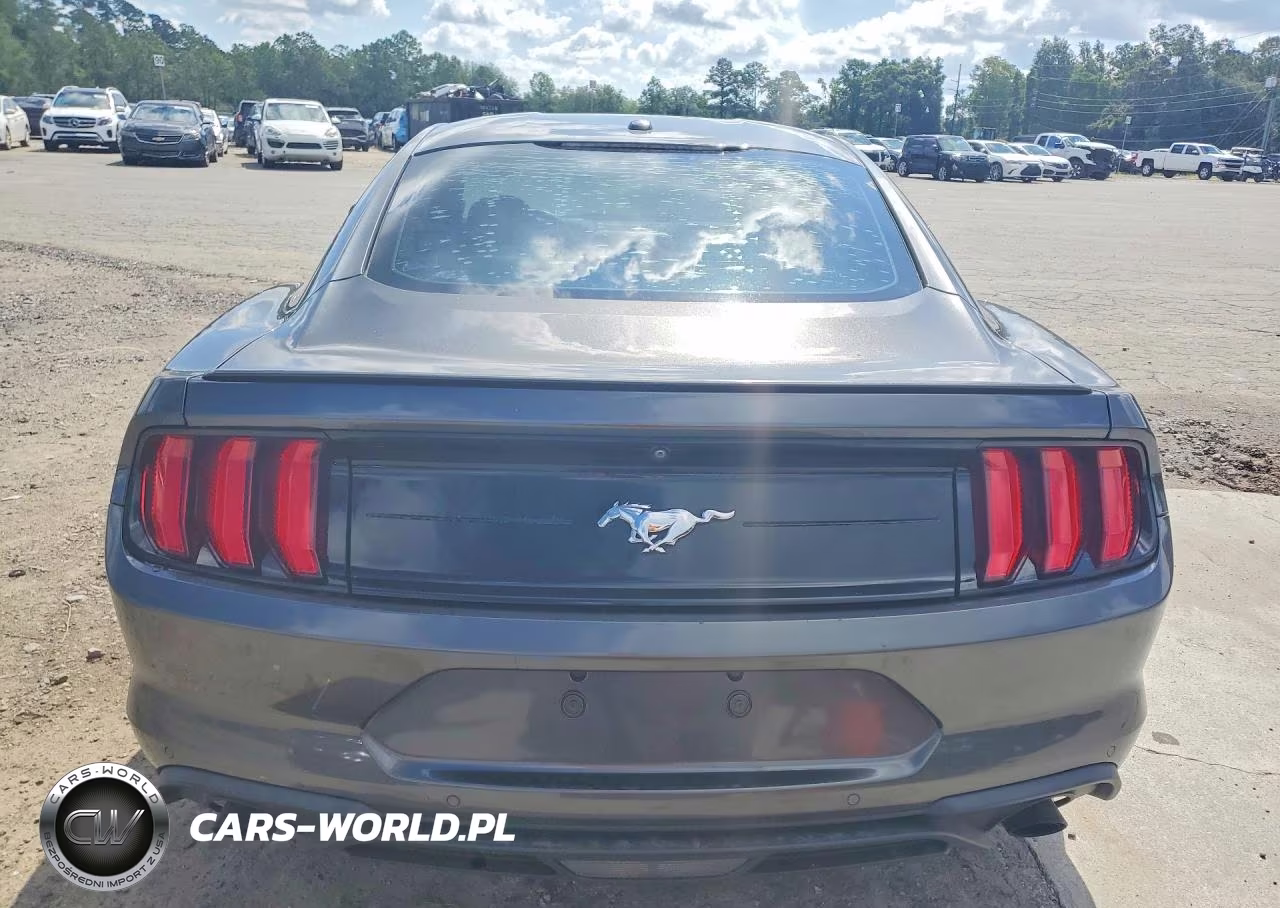 2019 Ford Mustang VIN:1FA6P8TH1K5142925 - 6