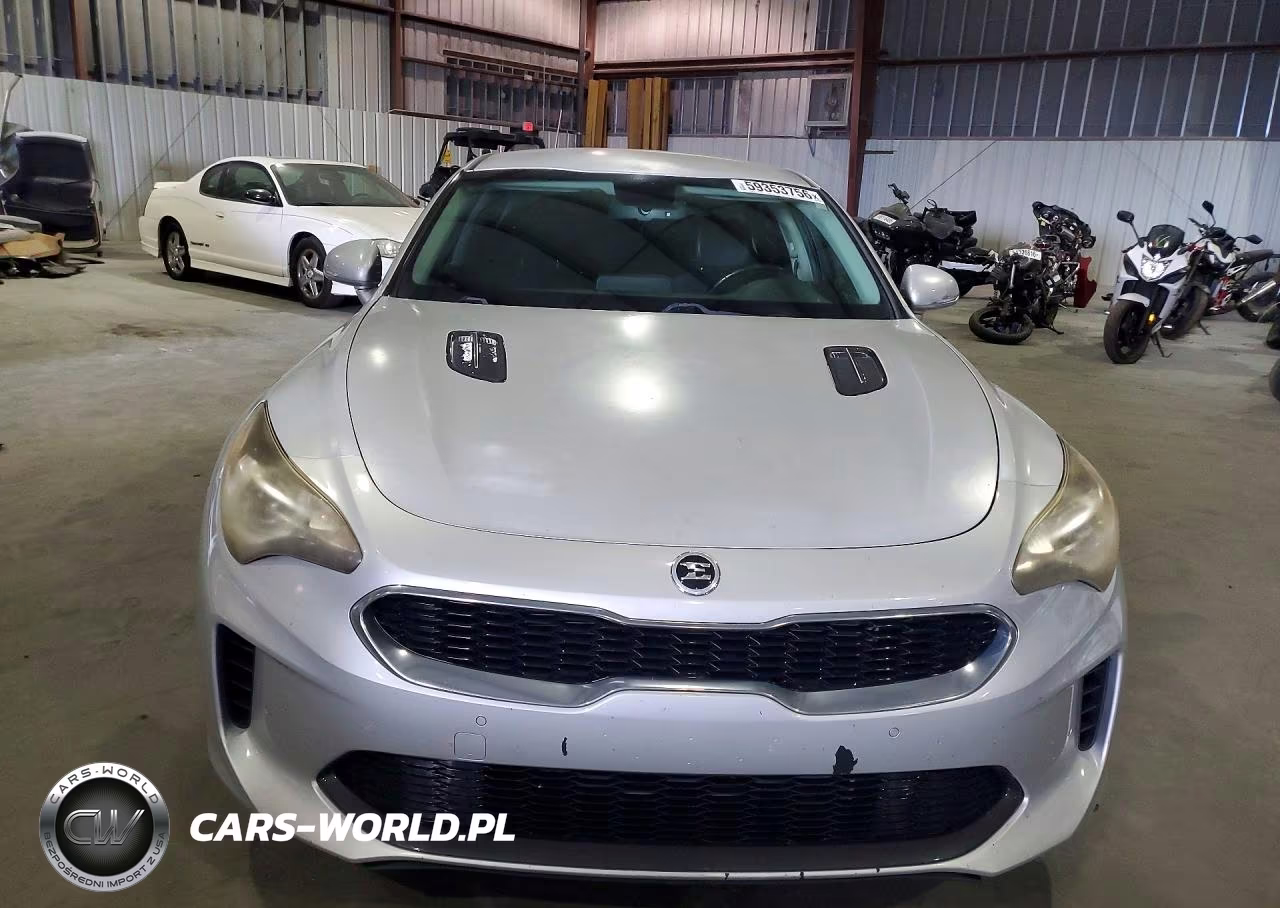 2018 Kia Stinger Base VIN:KNAE15LA0J6011094 - 5