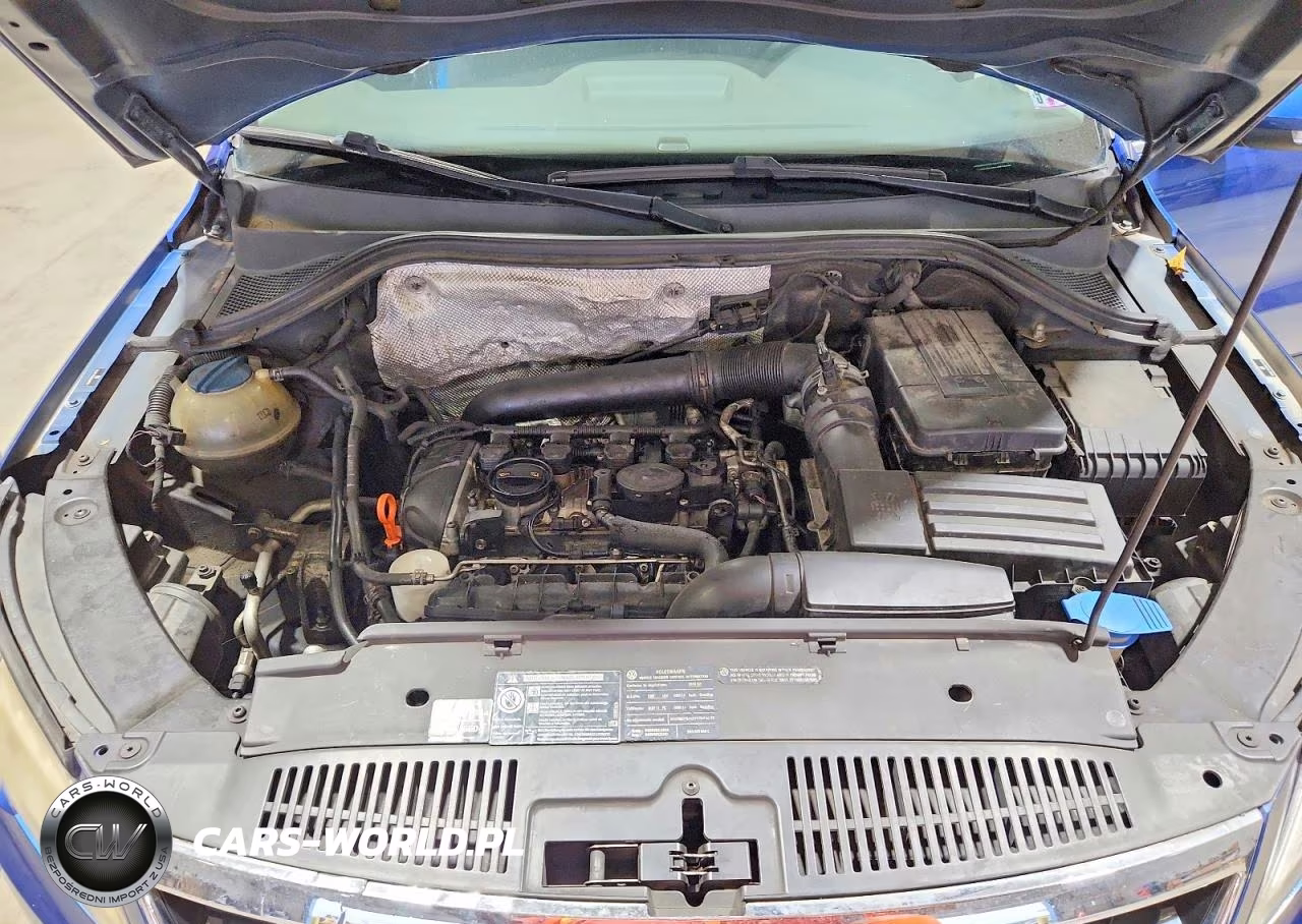 2009 Volkswagen Tiguan Se VIN:WVGBV75N29W510525 - 12