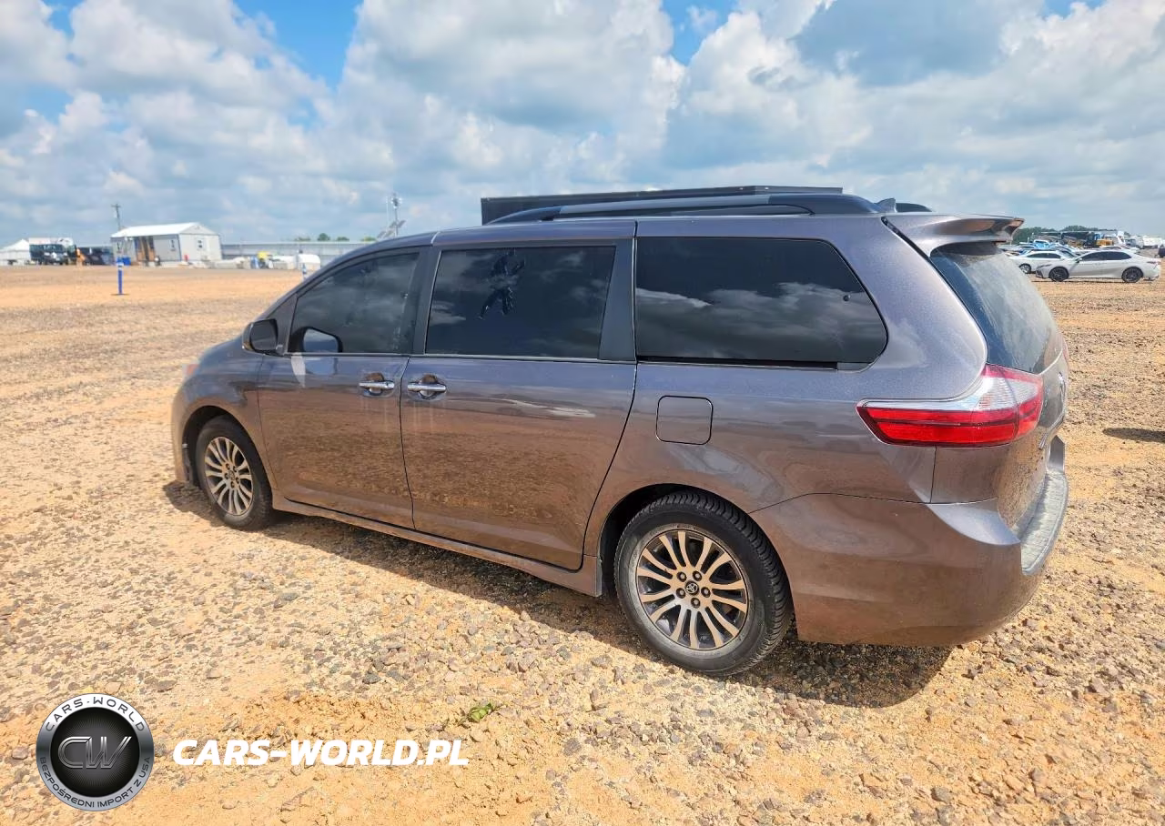 2018 Toyota Sienna Xle 8-Passenger VIN:5TDYZ3DCXJS925169 - 2