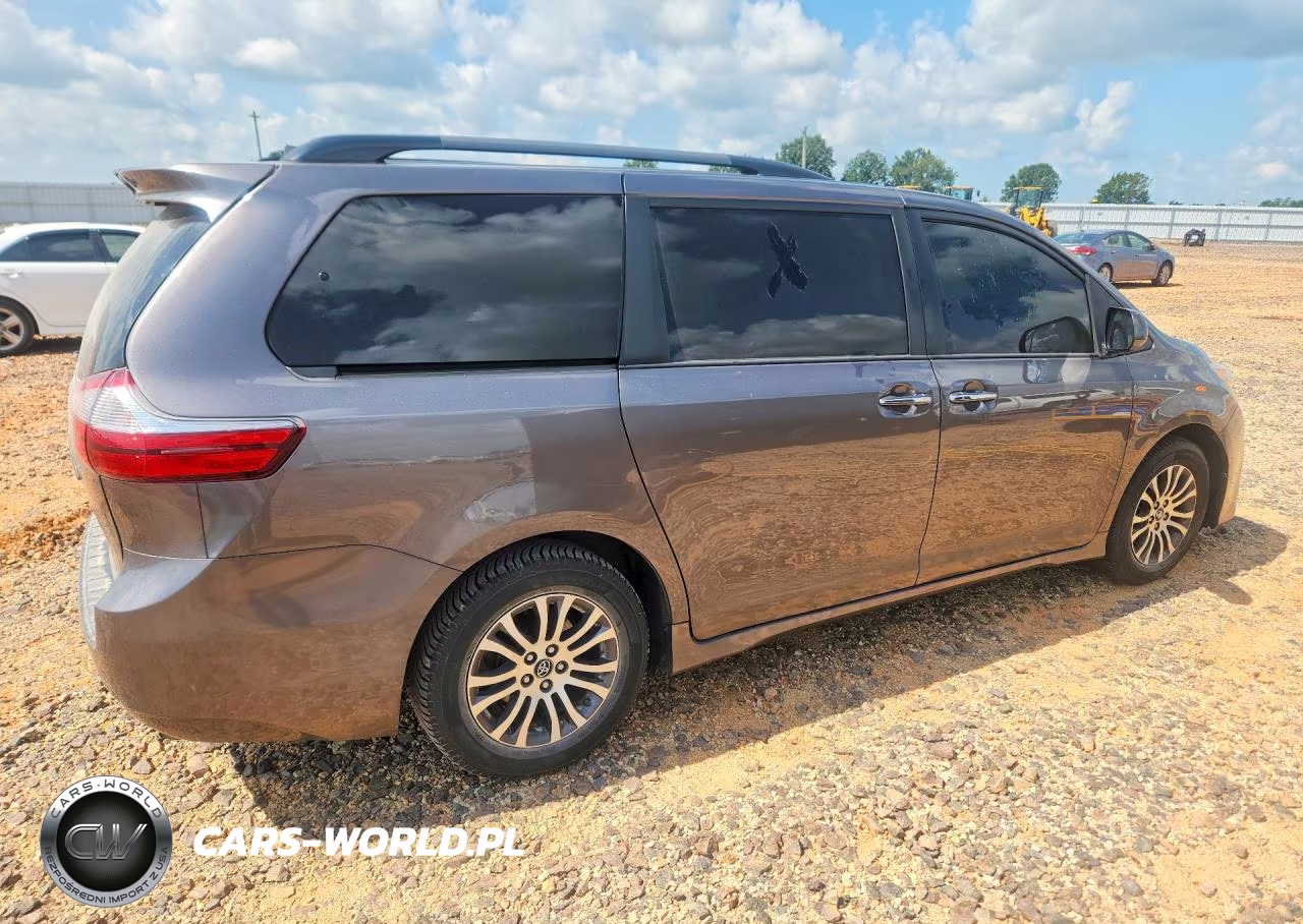 2018 Toyota Sienna Xle 8-Passenger VIN:5TDYZ3DCXJS925169 - 3
