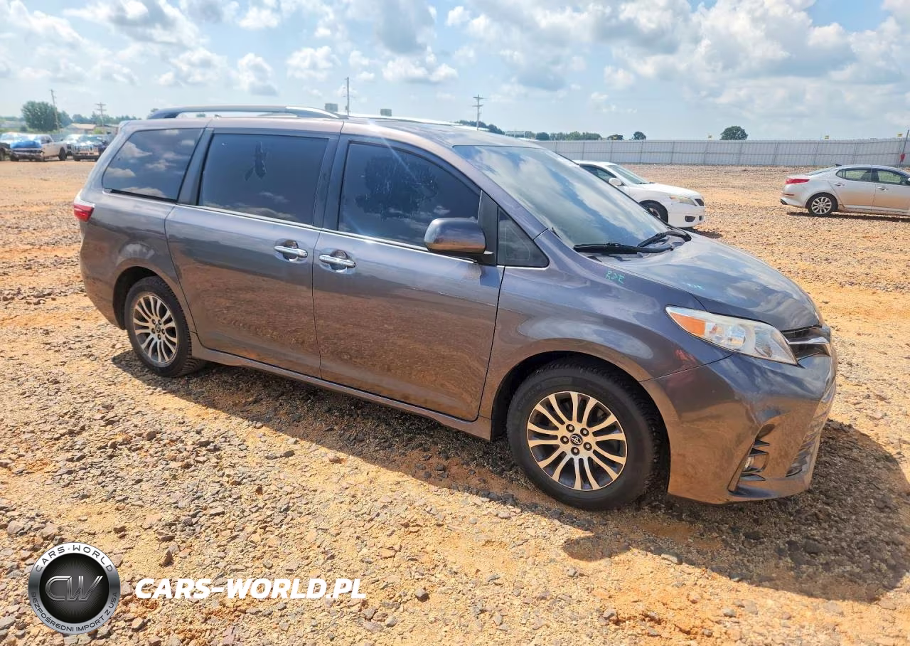 2018 Toyota Sienna Xle 8-Passenger VIN:5TDYZ3DCXJS925169 - 4