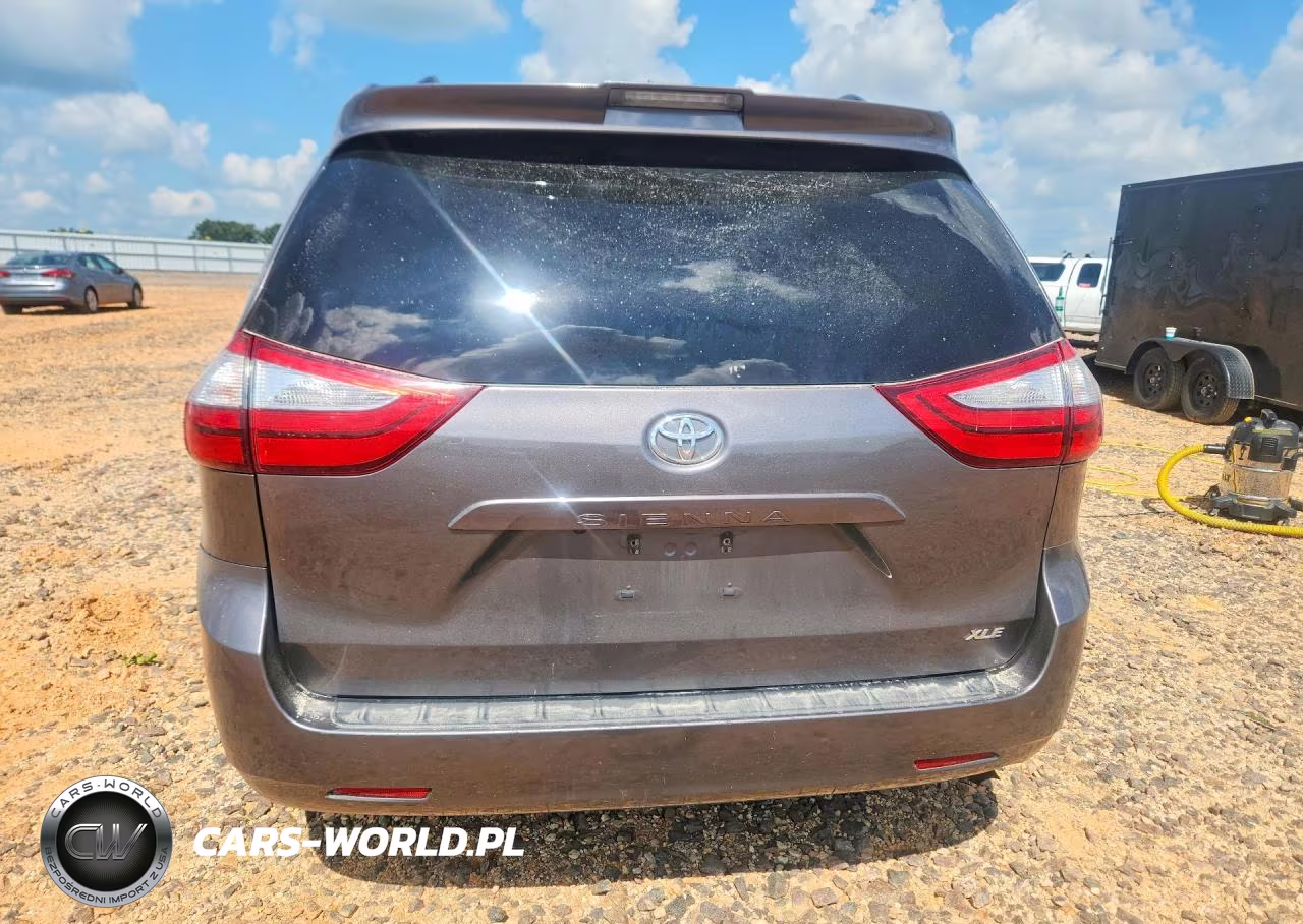 2018 Toyota Sienna Xle 8-Passenger VIN:5TDYZ3DCXJS925169 - 6