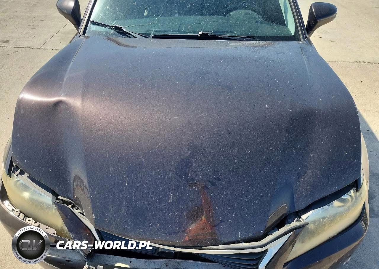 2013 Lexus Gs 350 VIN:JTHBE1BL6D5010708 - 11