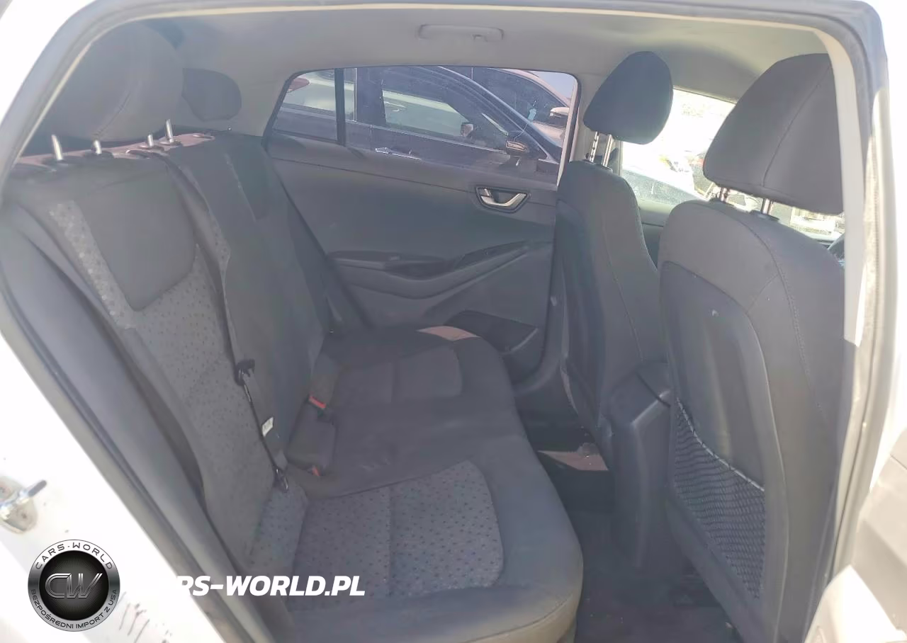 2019 Hyundai Ioniq Blue VIN:KMHC65LC3KU174442 - 10