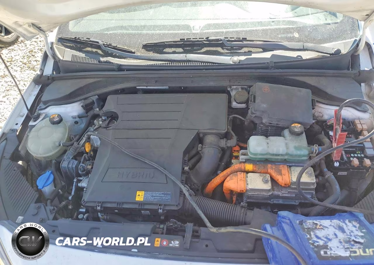 2019 Hyundai Ioniq Blue VIN:KMHC65LC3KU174442 - 11