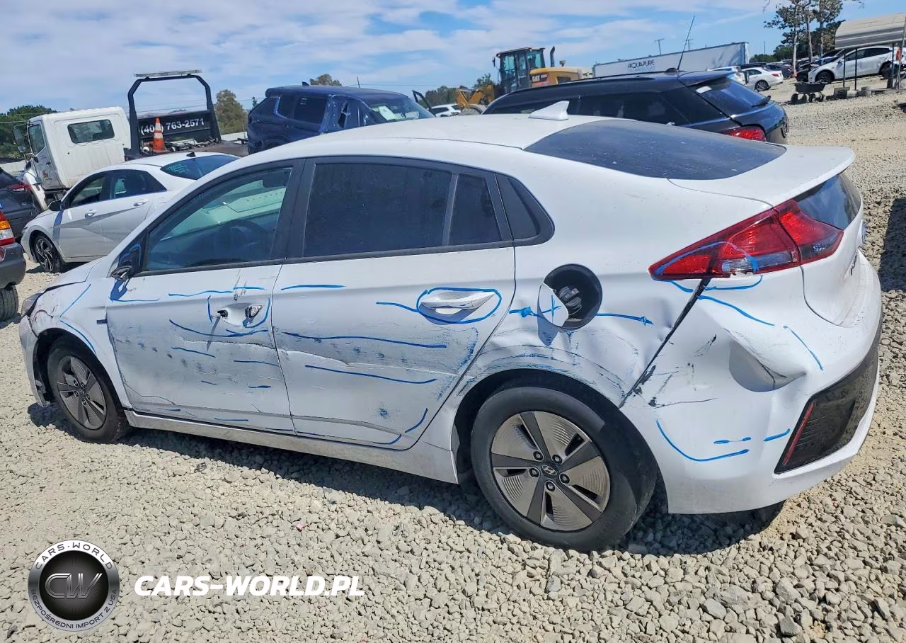 2019 Hyundai Ioniq Blue VIN:KMHC65LC3KU174442 - 2