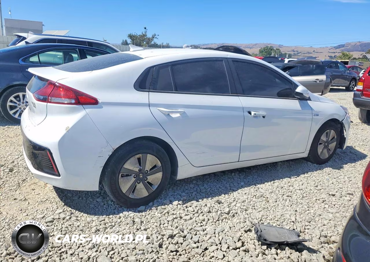 2019 Hyundai Ioniq Blue VIN:KMHC65LC3KU174442 - 3