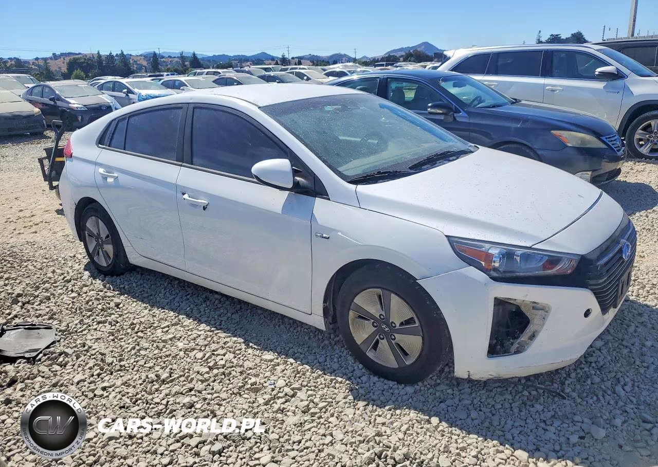2019 Hyundai Ioniq Blue VIN:KMHC65LC3KU174442 - 4