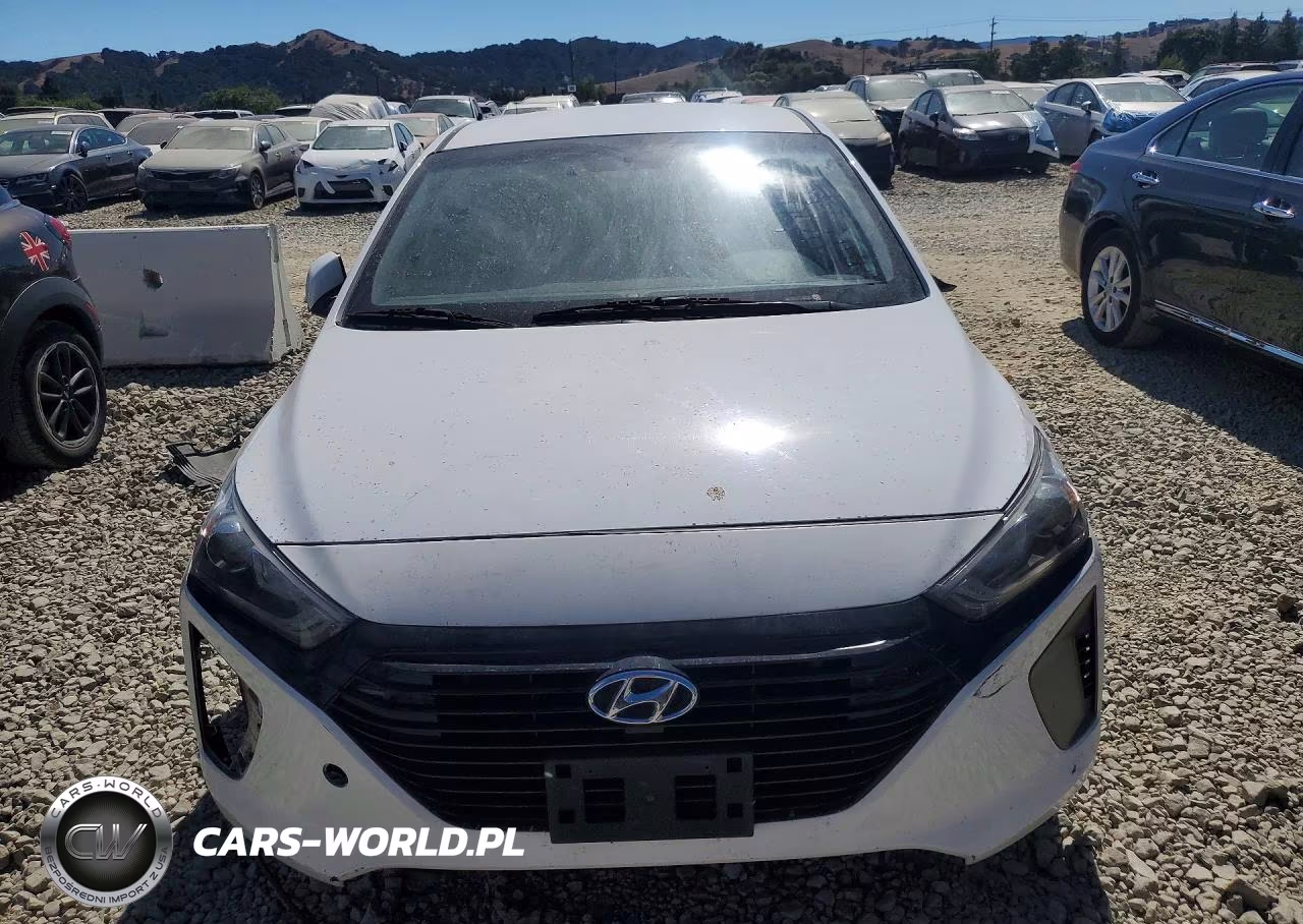 2019 Hyundai Ioniq Blue VIN:KMHC65LC3KU174442 - 5