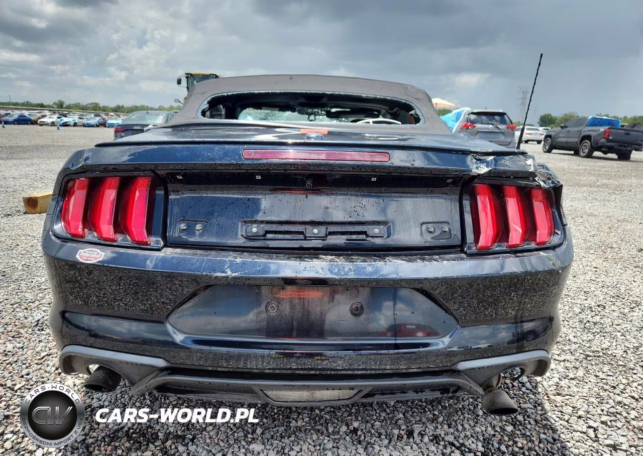 2019 Ford Mustang VIN:1FATP8UH8K5153373 - 6