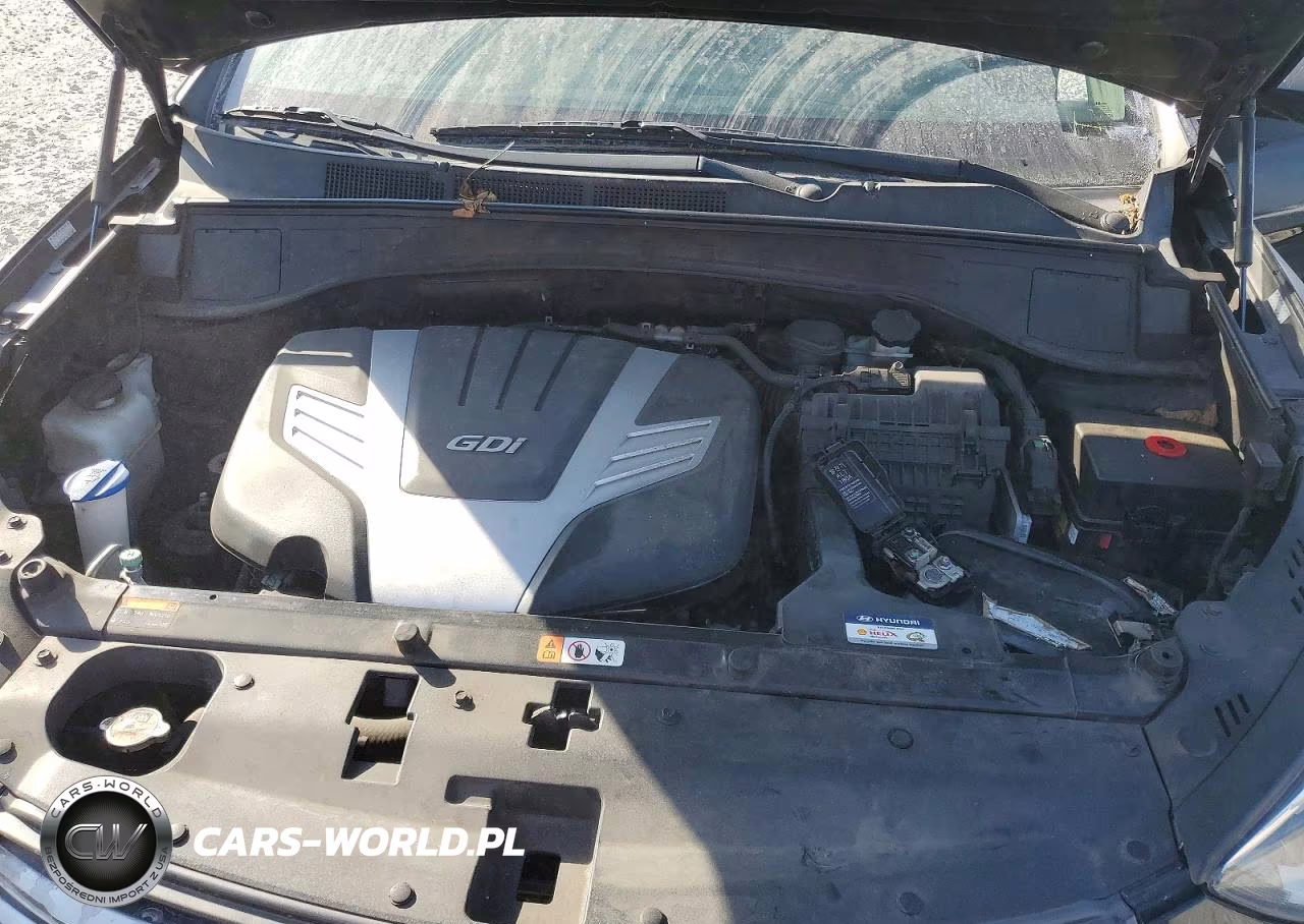 2017 Hyundai Santa Fe Limited Ultimate VIN:KM8SR4HF3HU169153 - 12