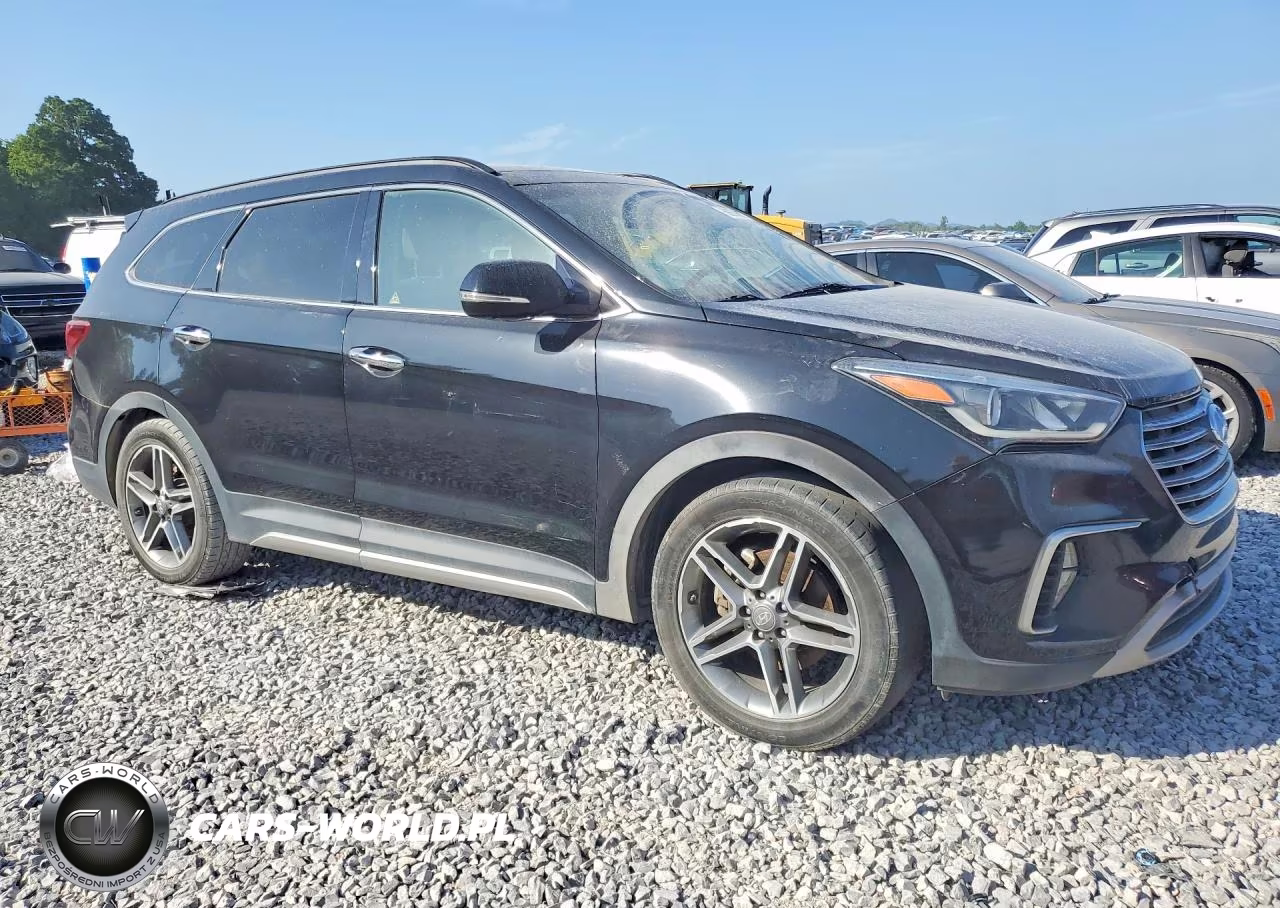 2017 Hyundai Santa Fe Limited Ultimate VIN:KM8SR4HF3HU169153 - 4