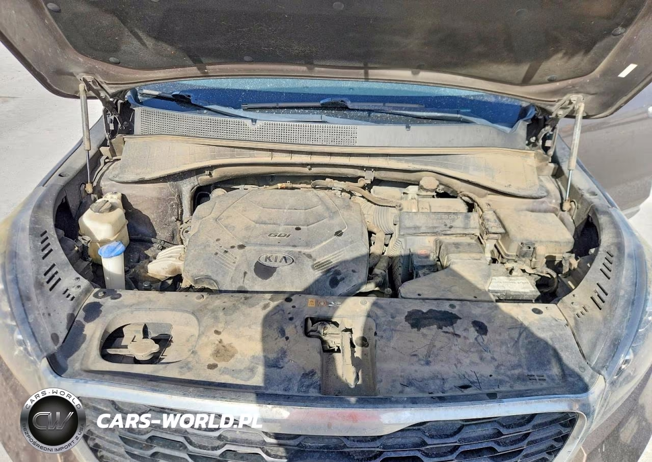 2019 Kia Sorento Lx V6 VIN:5XYPG4A56KG554880 - 12