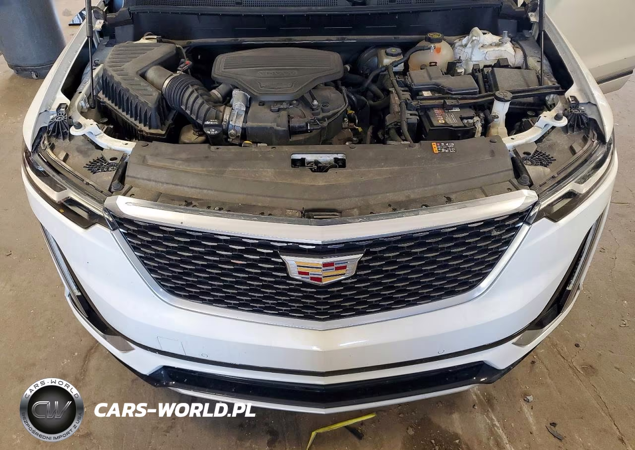 2020 Cadillac Xt6 Premium Luxury VIN:1GYKPDRS1LZ130198 - 12