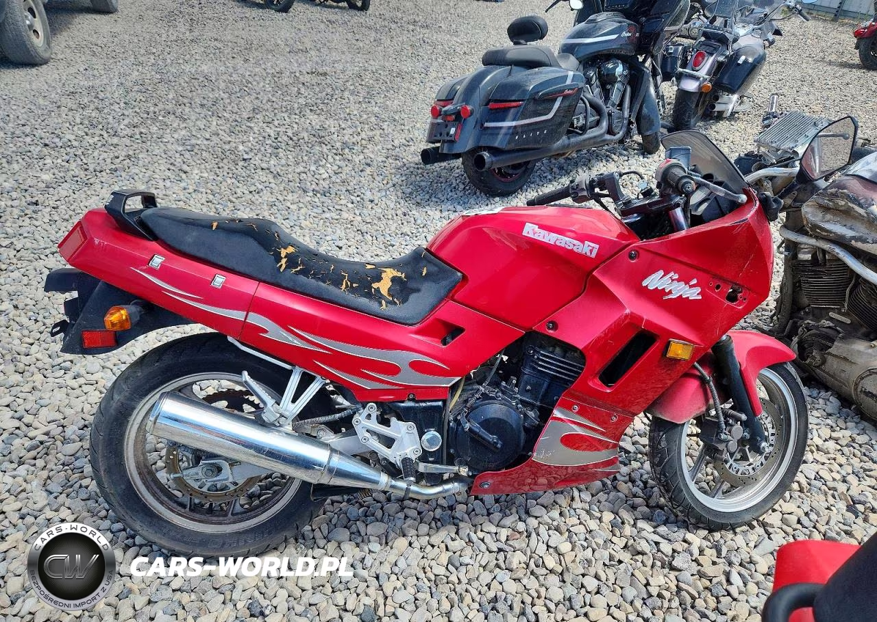 2007 Kawasaki Ex250 F
