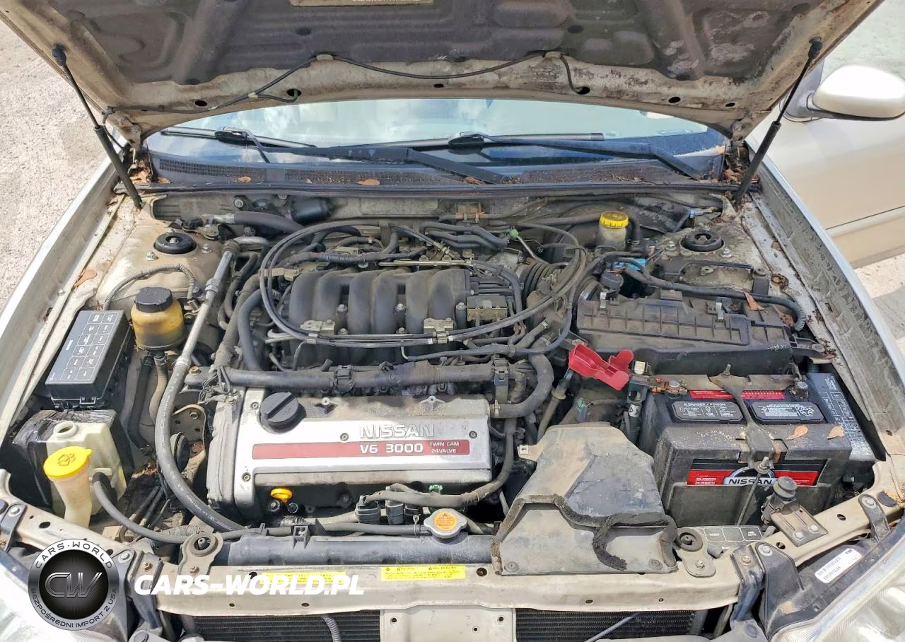 2001 Nissan Maxima Gxe-Se-Gle-20Th Anniversary VIN:JN1CA31D91T613556 - 11