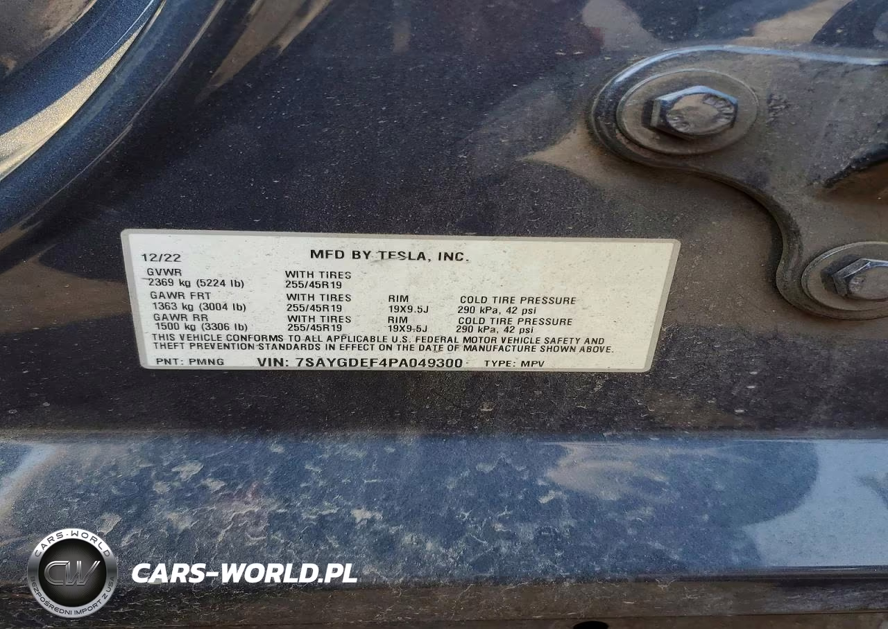 2023 Tesla Model Y VIN:7SAYGDEF4PA049300 - 12