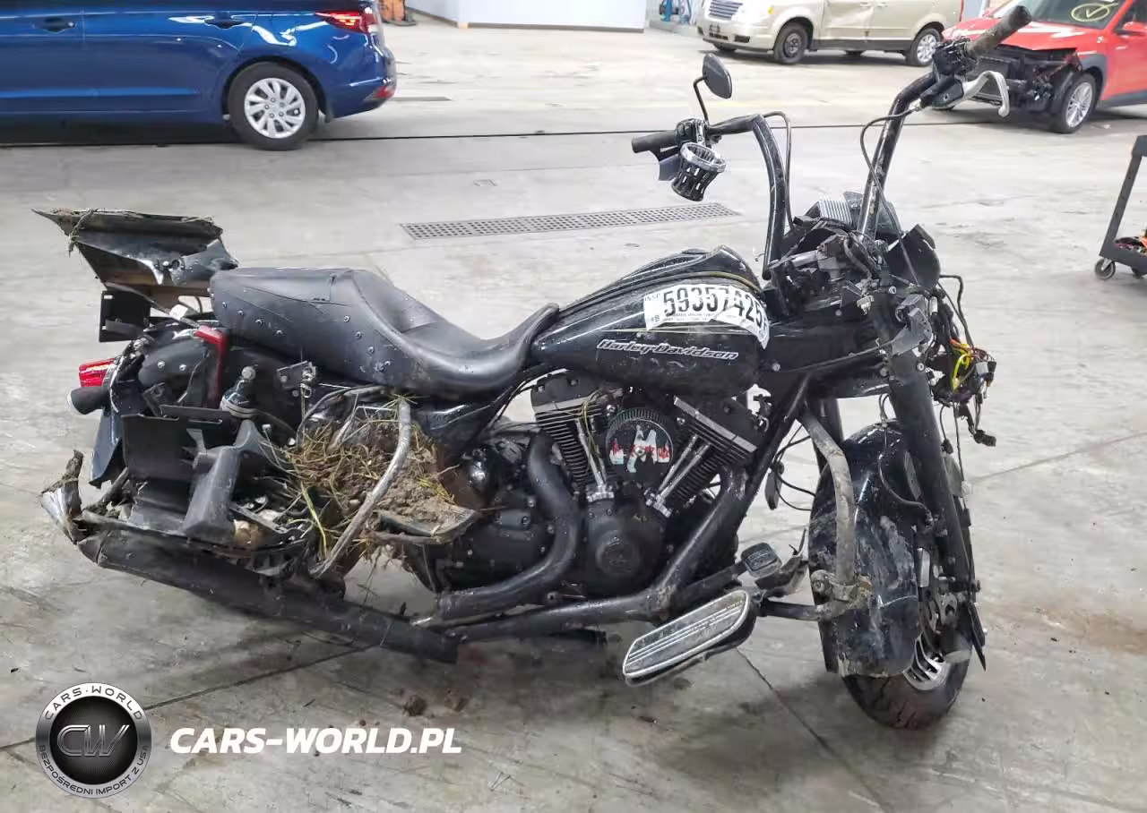 2011 Harley-Davidson Fltru