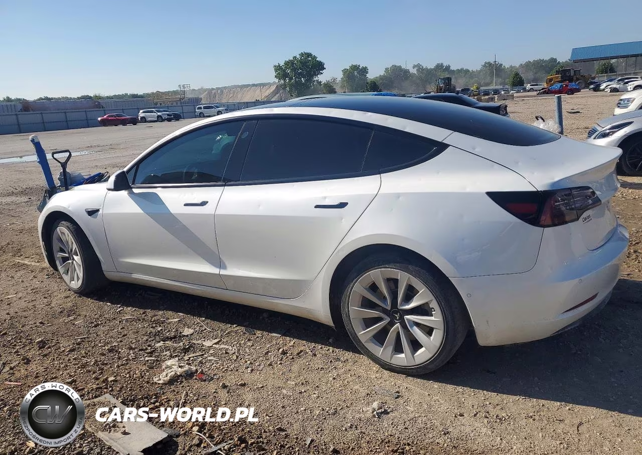 2022 Tesla Model 3 VIN:5YJ3E1EAXNF354302 - 2