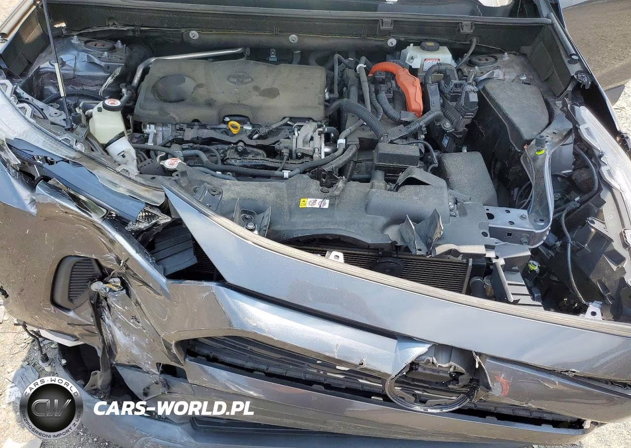 2019 Toyota Rav4 Le VIN:JTMMWRFV1KD011821 - 12
