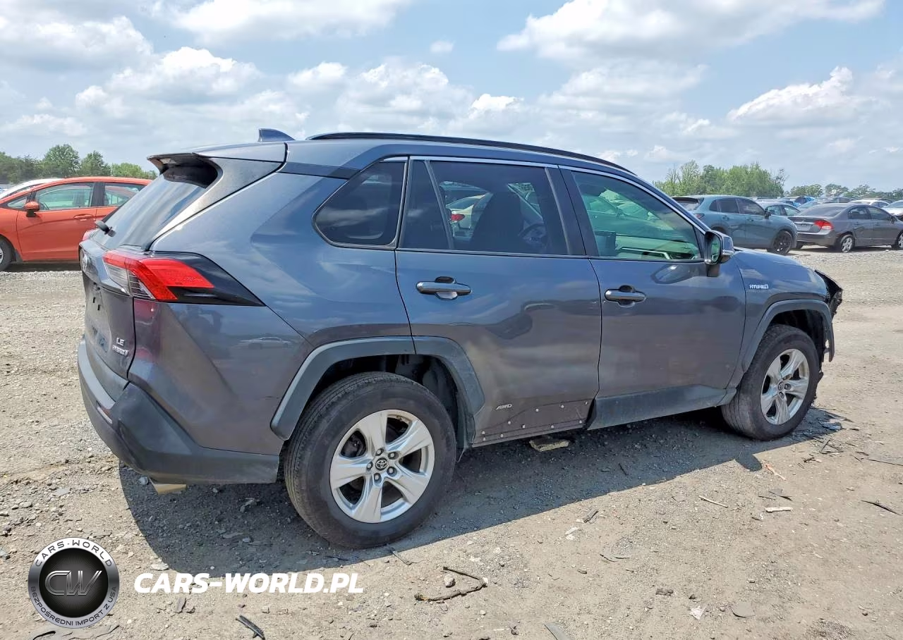 2019 Toyota Rav4 Le VIN:JTMMWRFV1KD011821 - 3