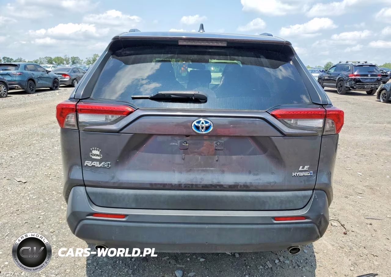 2019 Toyota Rav4 Le VIN:JTMMWRFV1KD011821 - 6
