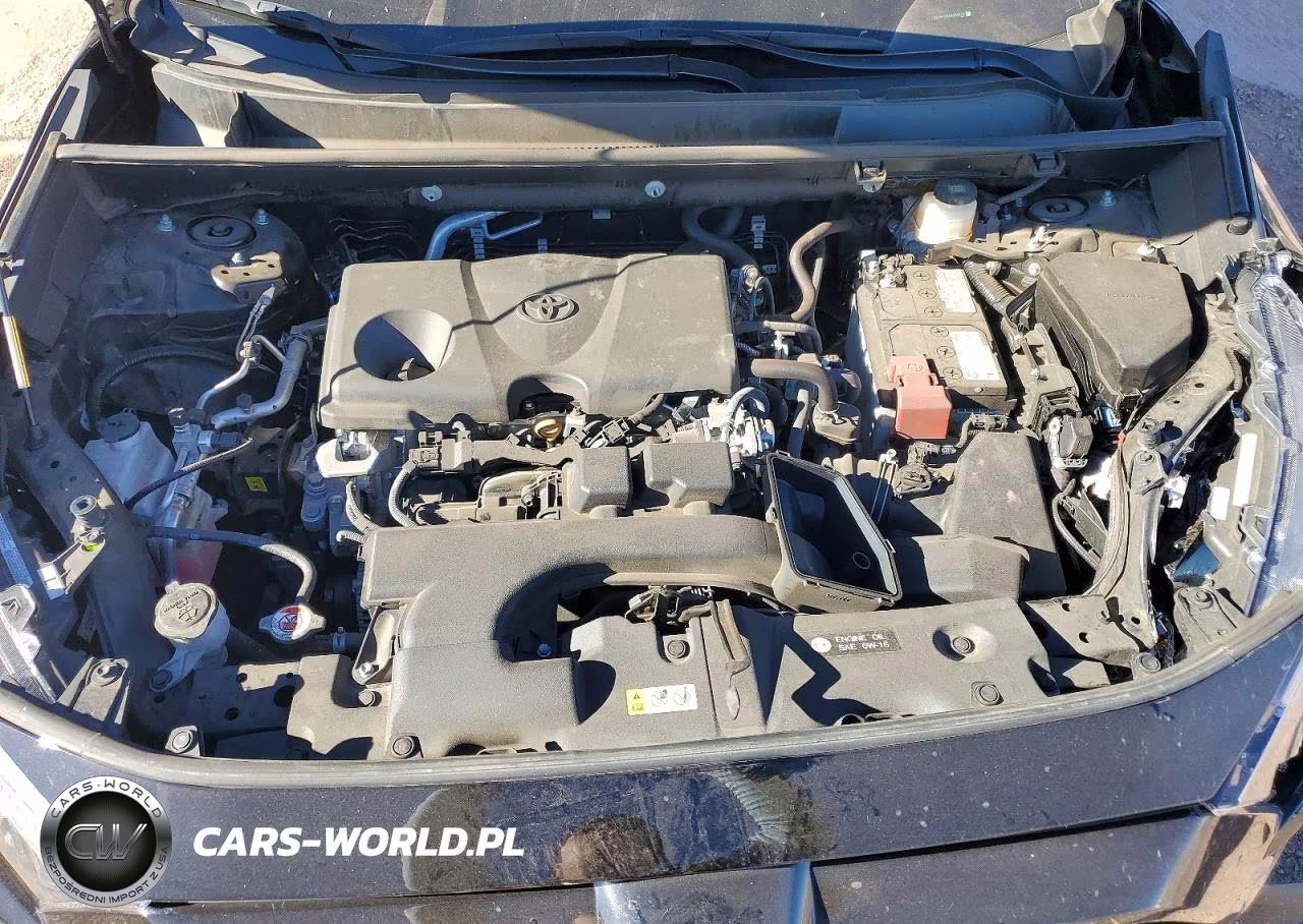 2025 Toyota Rav4 Xle VIN:2T3W1RFV8SW399673 - 12