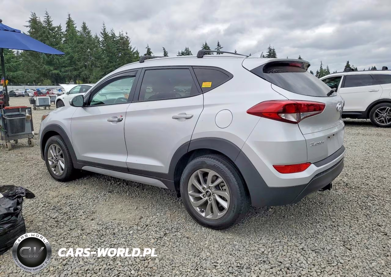 2018 Hyundai Tucson Sel VIN:KM8J3CA45JU773311 - 2