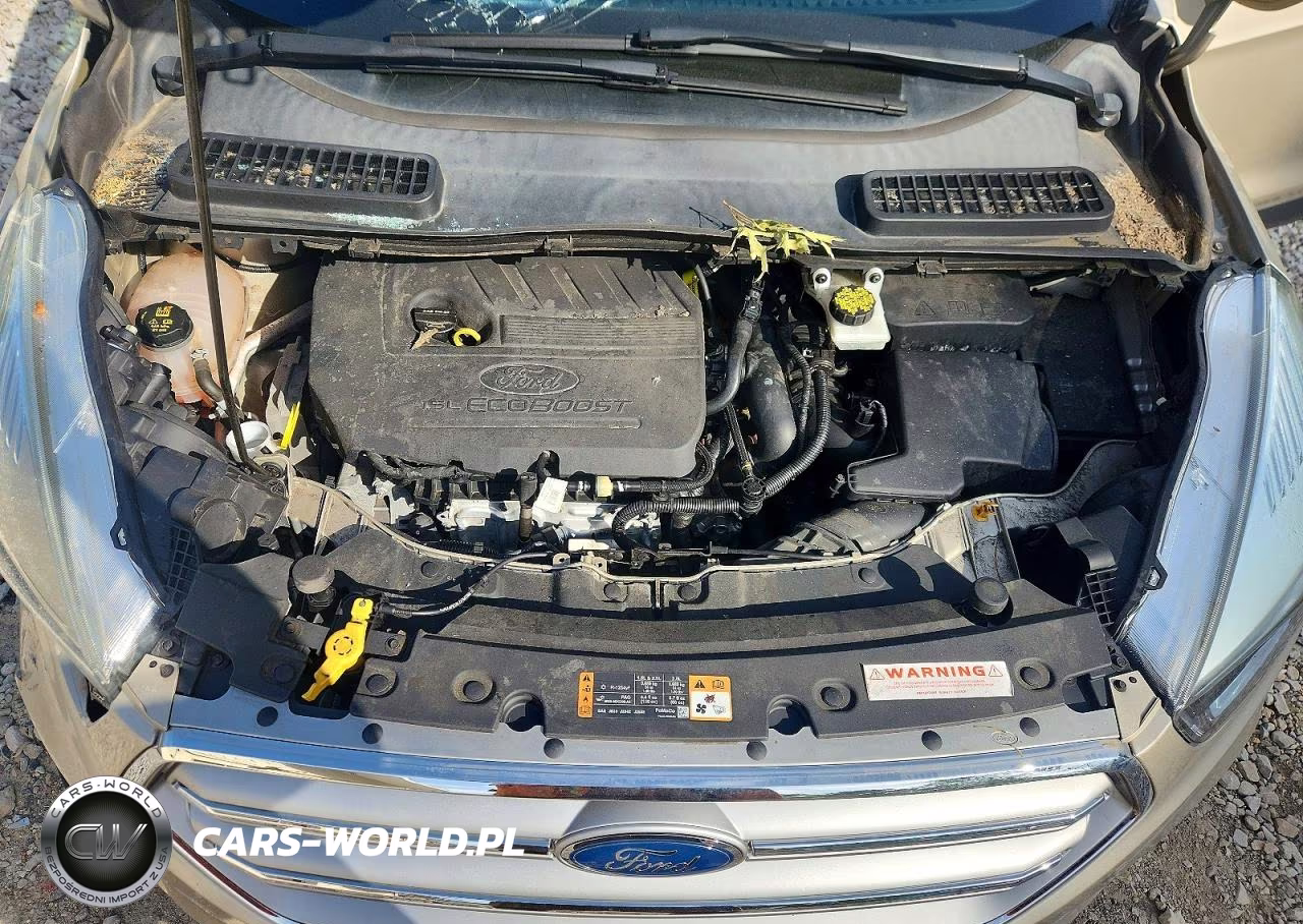 2017 Ford Escape Se VIN:1FMCU0GD7HUE03936 - 12