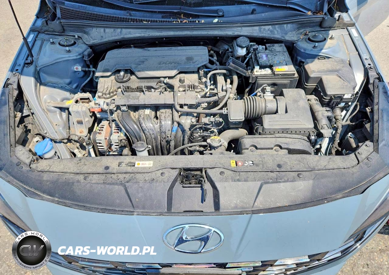 2021 Hyundai Elantra Limited VIN:KMHLP4AG0MU119821 - 11