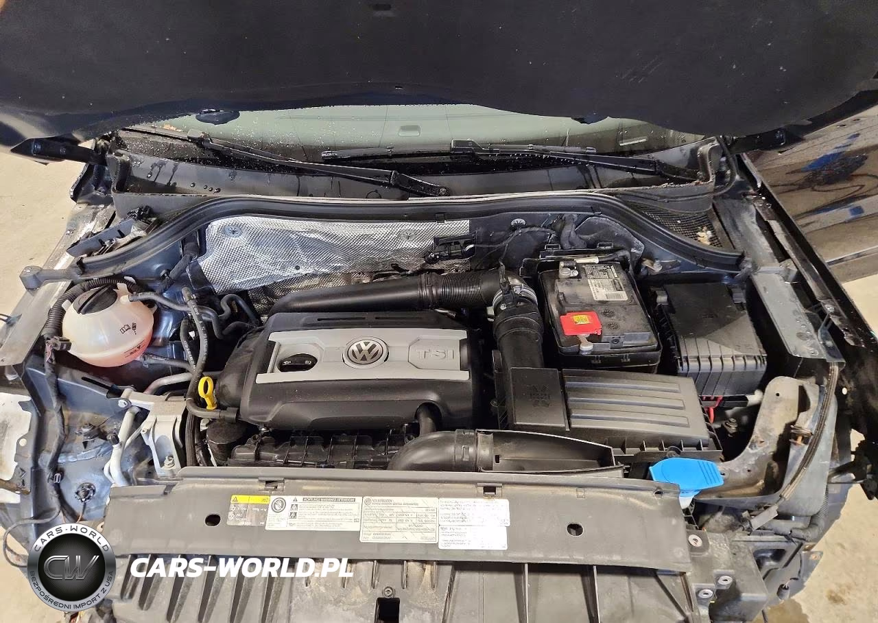 2016 Volkswagen Tiguan S VIN:WVGBV7AX6GW516672 - 12