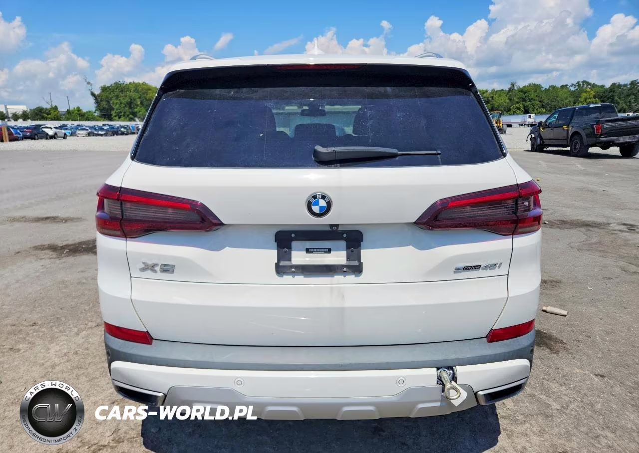 2021 BMW X5 Sdrive 40I VIN:5UXCR4C04M9G29267 - 6