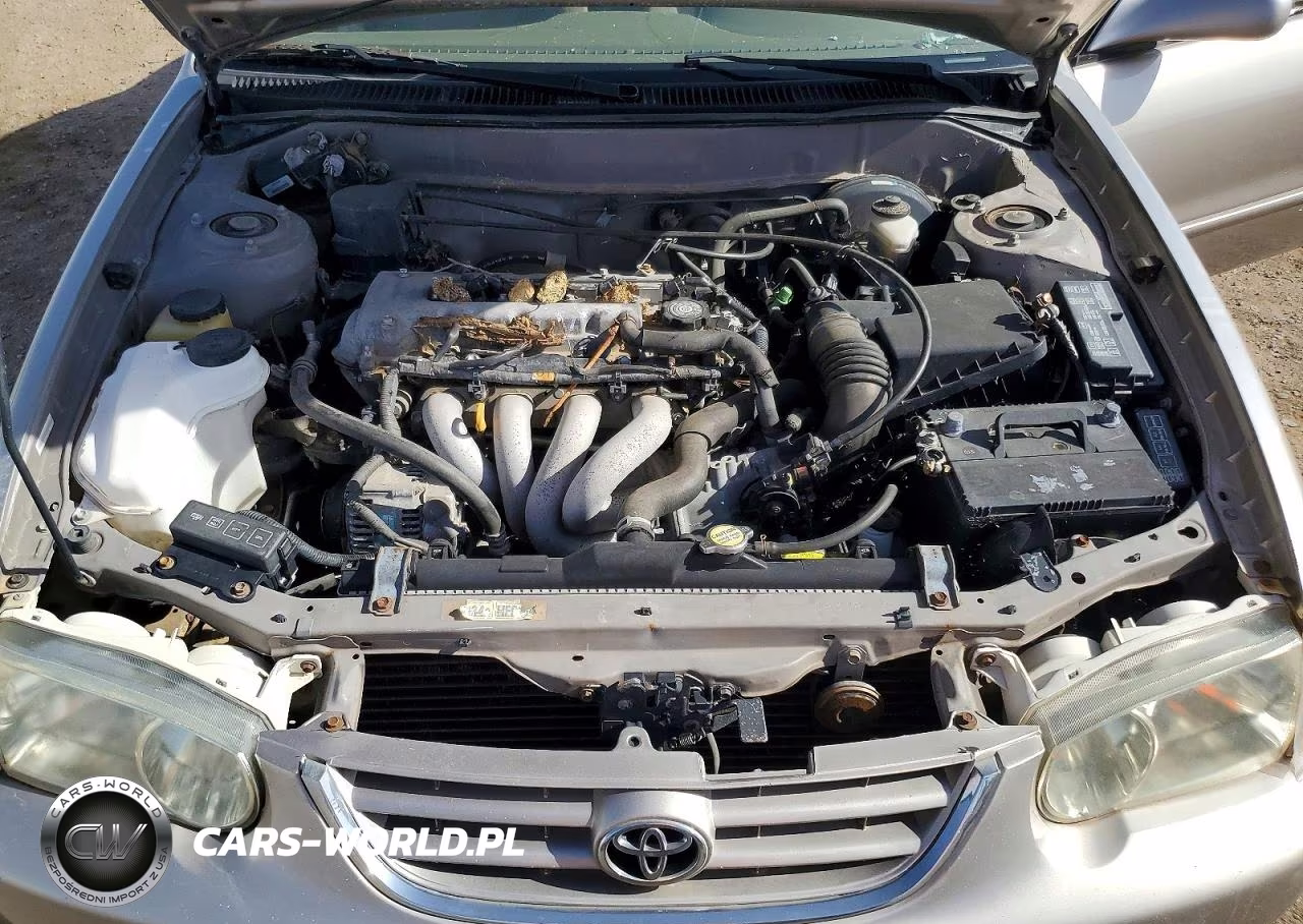 2001 Toyota Corolla Ce VIN:1NXBR12E71Z423287 - 11