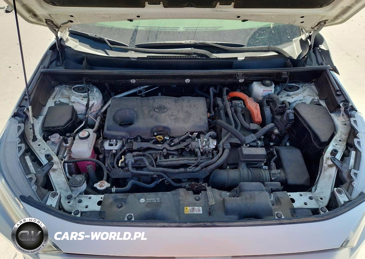 2022 Toyota Rav4 Se VIN:JTM16RFV7ND527026 - 12