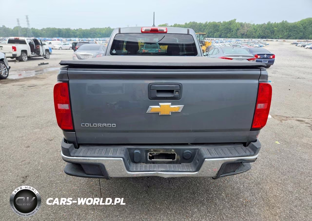 2018 Chevrolet Colorado VIN:1GCHSBEA0J1304662 - 6