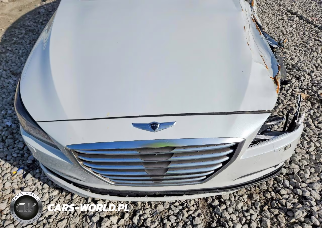 2015 Hyundai Genesis 3.8L VIN:KMHGN4JE2FU091674 - 11