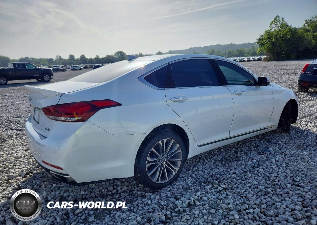 2015 Hyundai Genesis 3.8L VIN:KMHGN4JE2FU091674 - 3