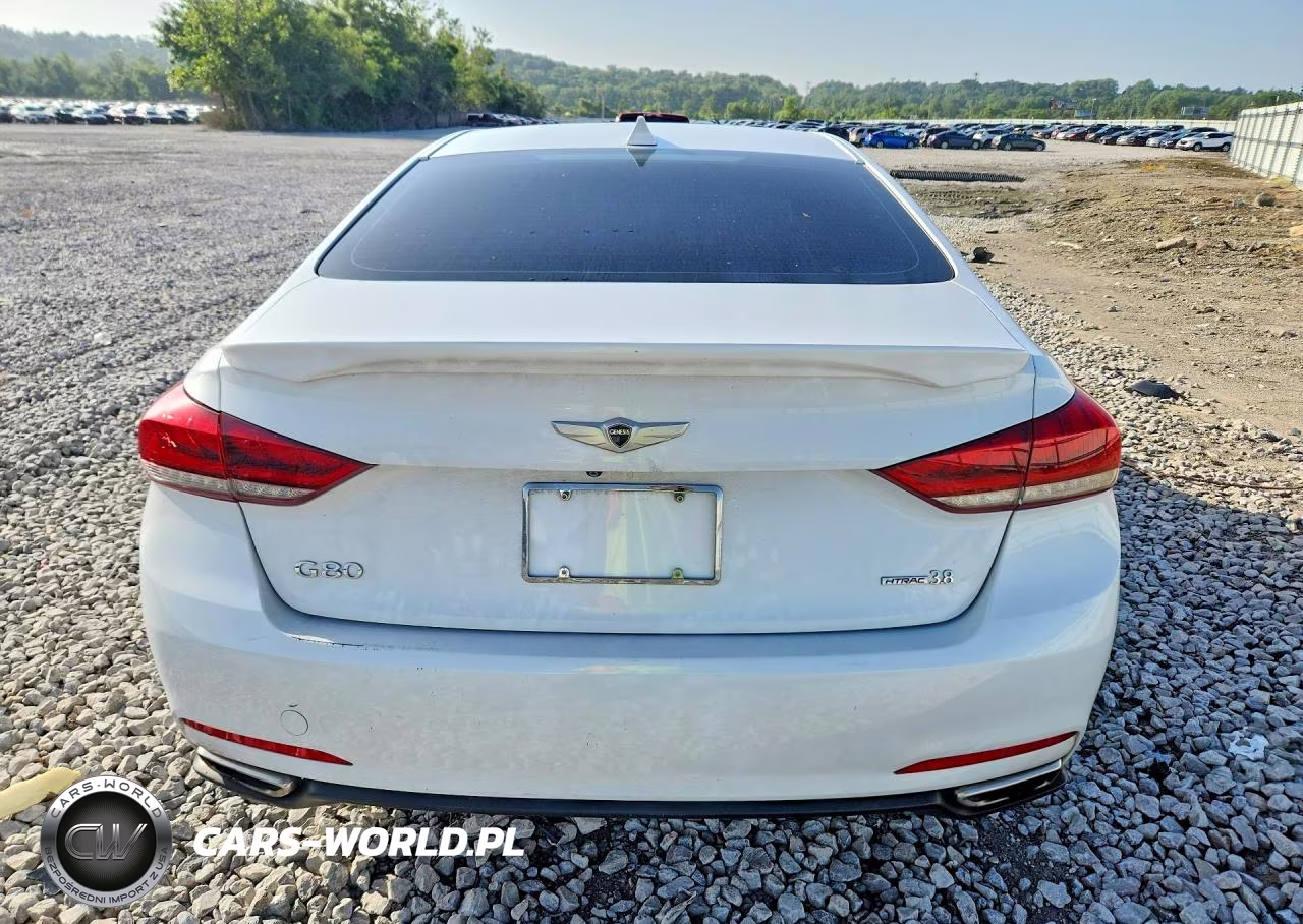 2015 Hyundai Genesis 3.8L VIN:KMHGN4JE2FU091674 - 6