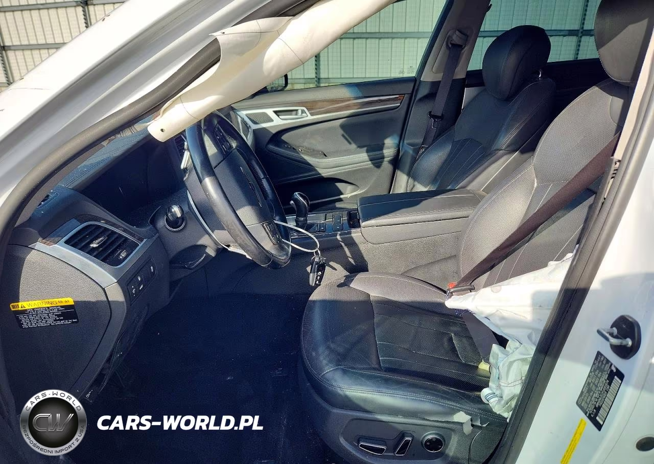 2015 Hyundai Genesis 3.8L VIN:KMHGN4JE2FU091674 - 7