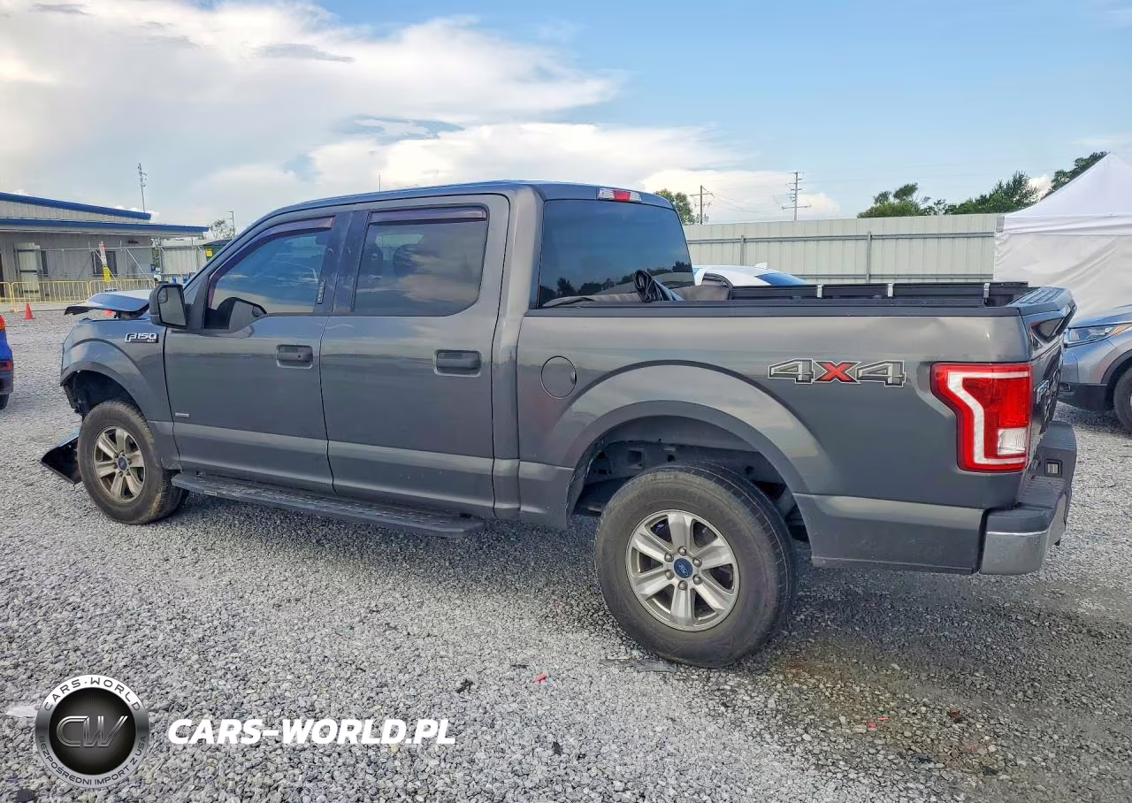 2016 Ford F150 Supercrew VIN:1FTEW1EP9GFC59304 - 2